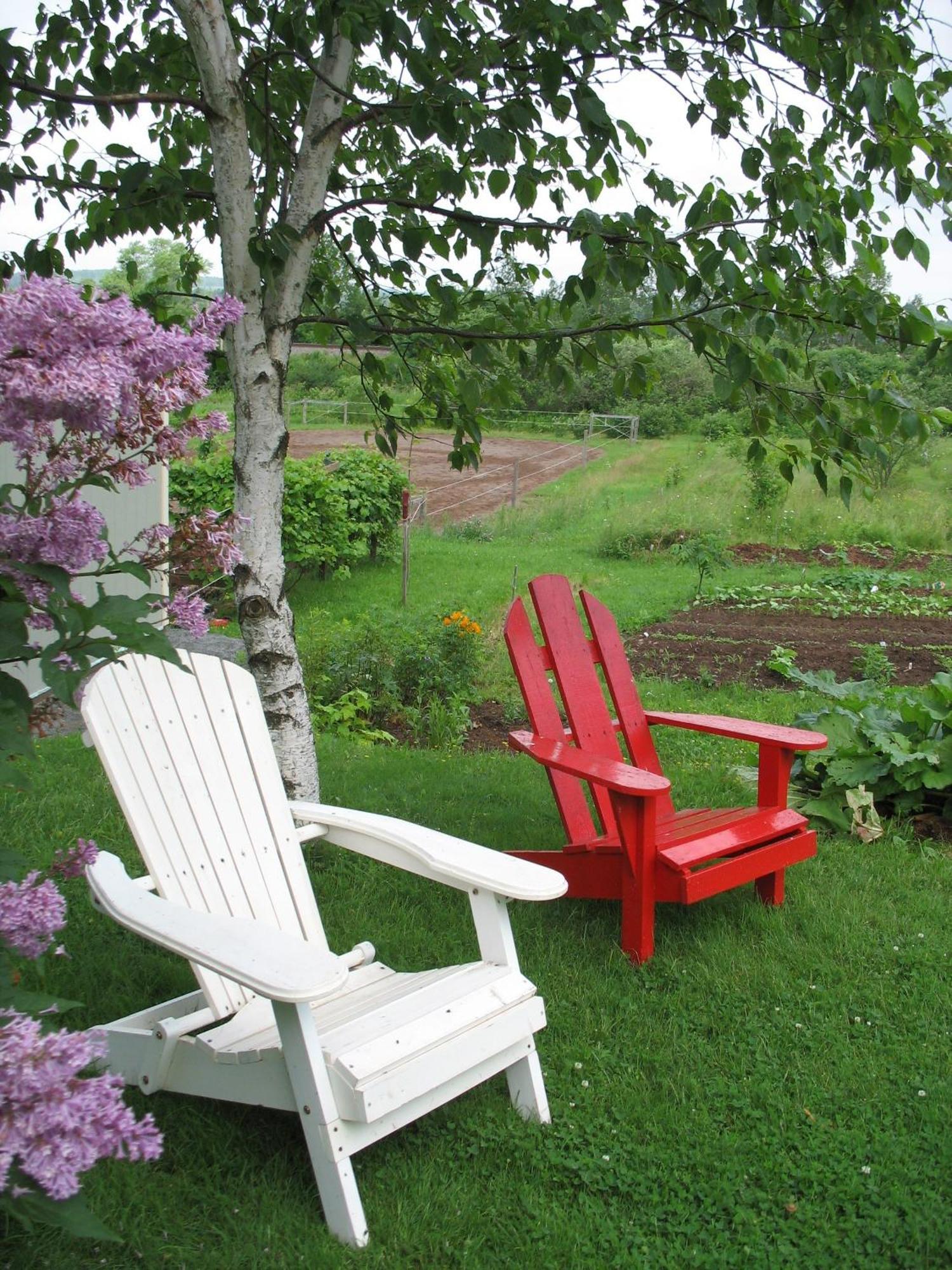 The Nelson House Bed And Breakfast Stewiacke Exteriör bild