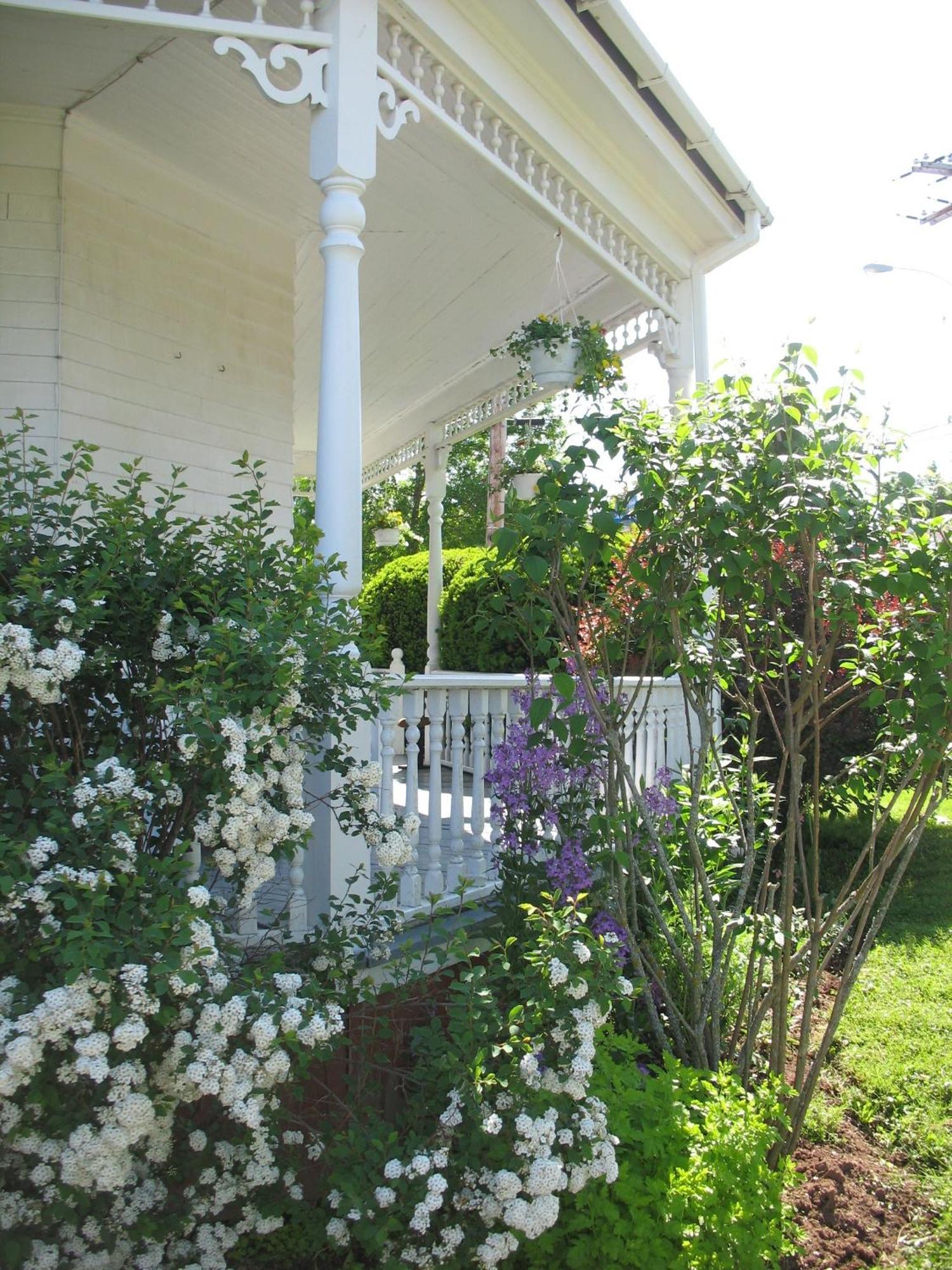 The Nelson House Bed And Breakfast Stewiacke Exteriör bild