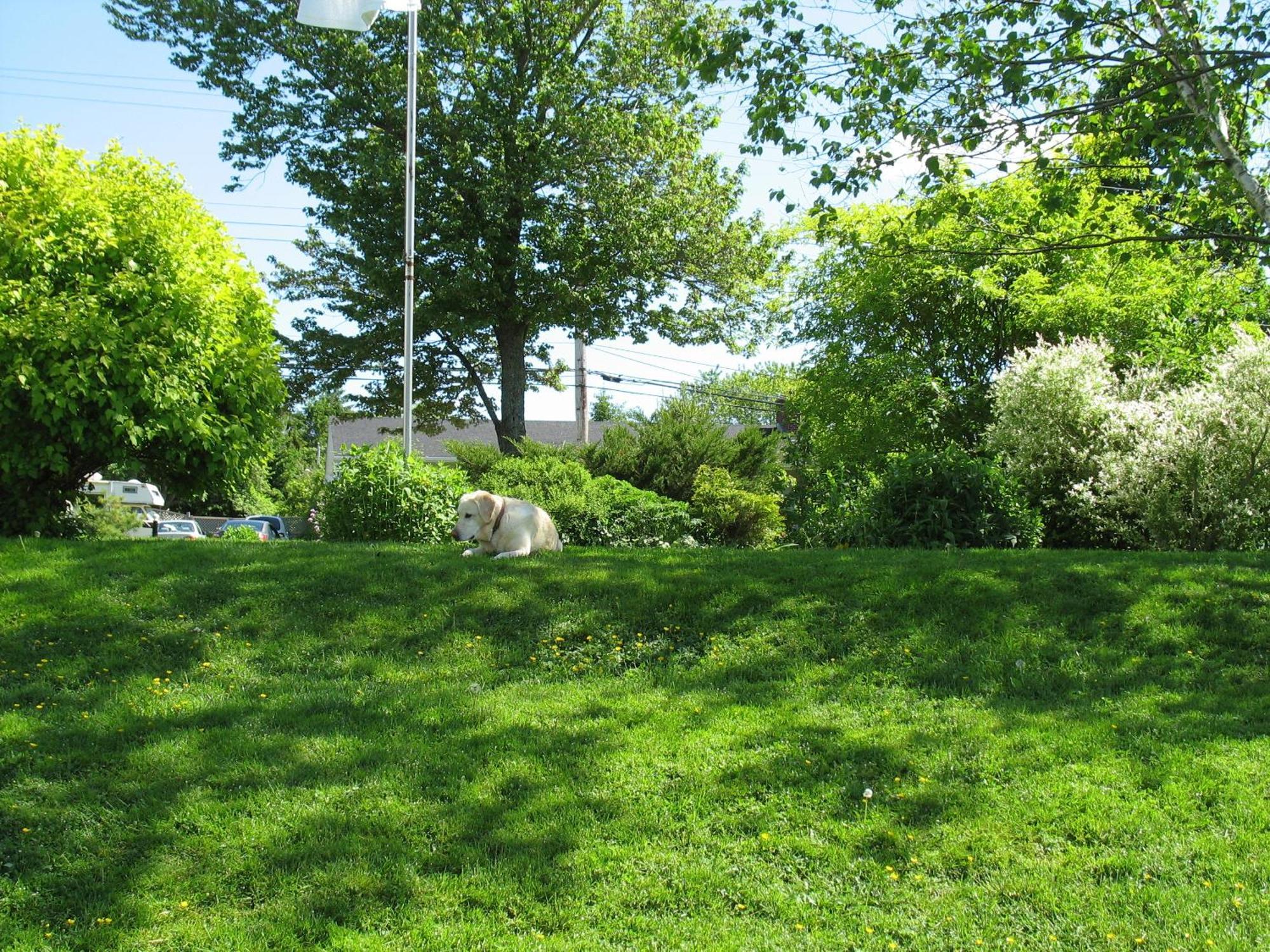 The Nelson House Bed And Breakfast Stewiacke Exteriör bild