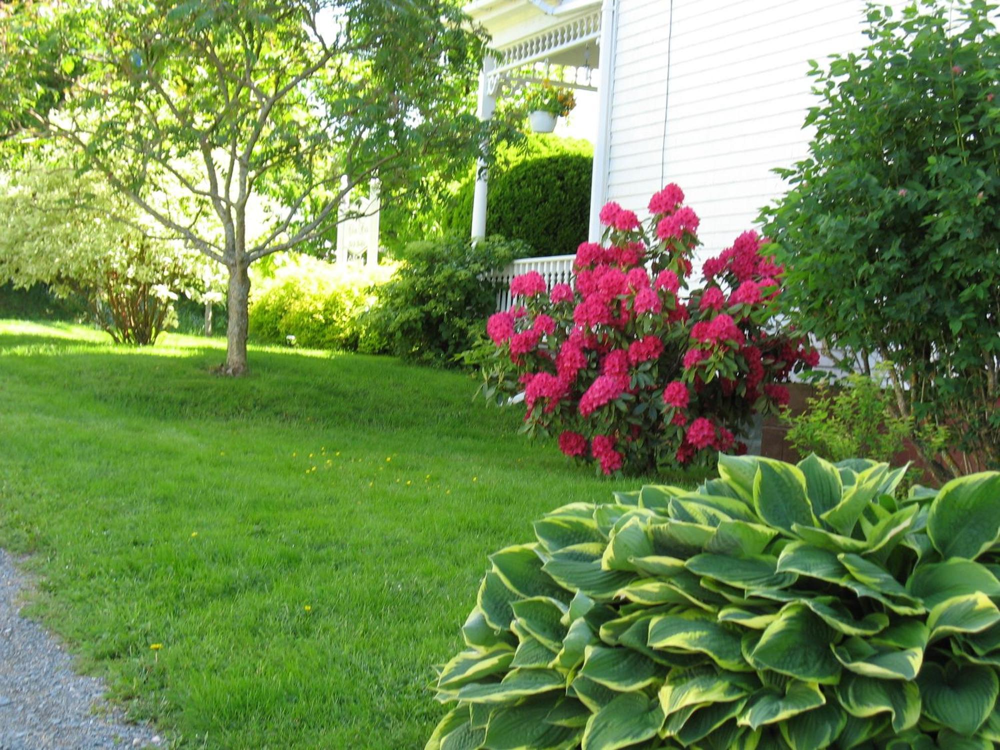 The Nelson House Bed And Breakfast Stewiacke Exteriör bild